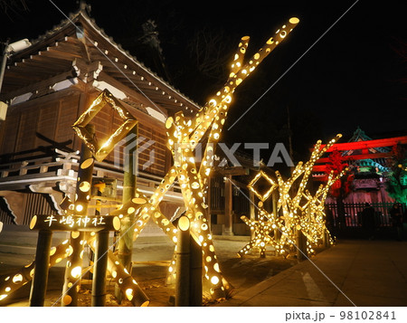 東京・牛嶋神社のイルミネーション 98102841