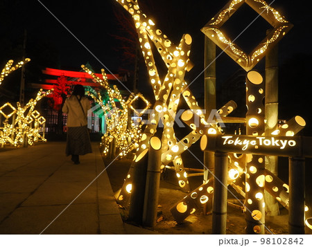東京・牛嶋神社のイルミネーション 98102842