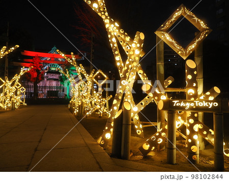 東京・牛嶋神社のイルミネーション 東京・牛嶋神社のイルミネーション 98102844