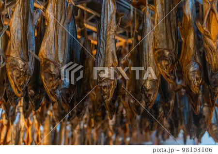 鮭の街 村上 鮭の街 村上 98103106