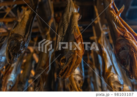 鮭の街 村上 鮭の街 村上 98103107