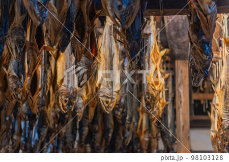 鮭の街　村上 98103128