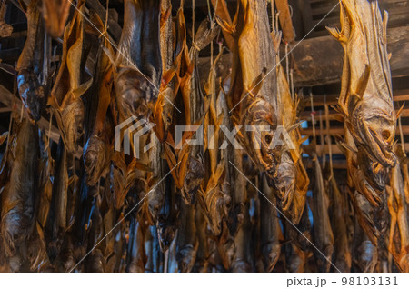 鮭の街　村上 98103131