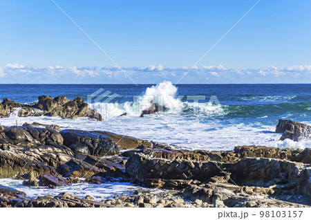 犬吠埼灯台下の磯 98103157