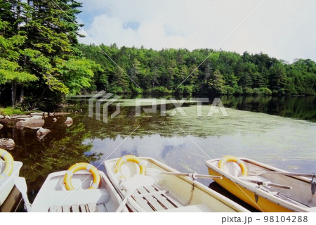 夏の白駒の池 98104288