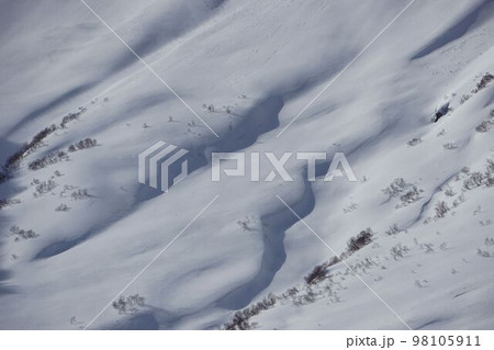 雪崩を見る 雪崩を見る 98105911