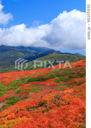 岩手_三ツ石山の紅葉絶景 98105930