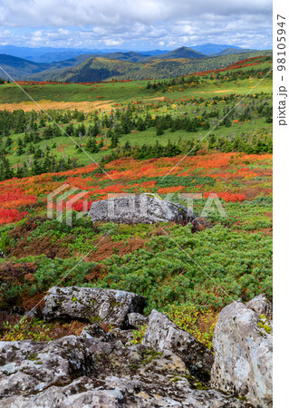 岩手_三ツ石山の紅葉絶景 98105947