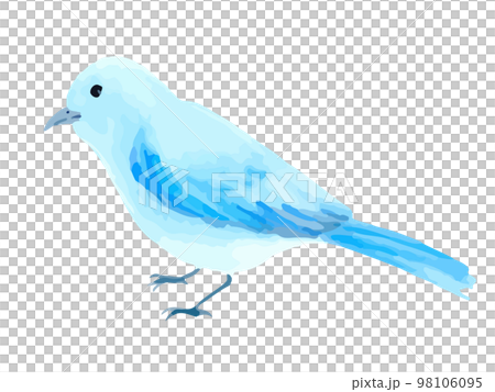 透明水彩手繪小藍鳥插畫 透明水彩手繪小藍鳥插畫 98106095