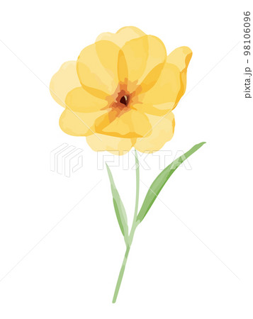 水彩で描いた黄色い花のイラスト素材のイラスト素材 [98106096] - PIXTA