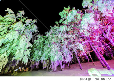 ライトアップされた山形蔵王の樹氷　山形県山形市 98106172