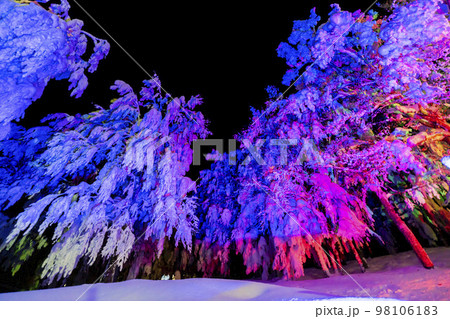 ライトアップされた山形蔵王の樹氷　山形県山形市 98106183