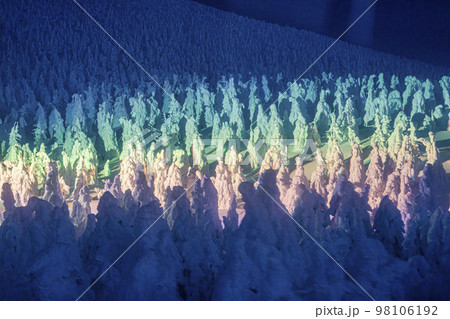 ライトアップされた山形蔵王の樹氷 山形県山形市 ライトアップされた山形蔵王の樹氷 山形県山形市 98106192