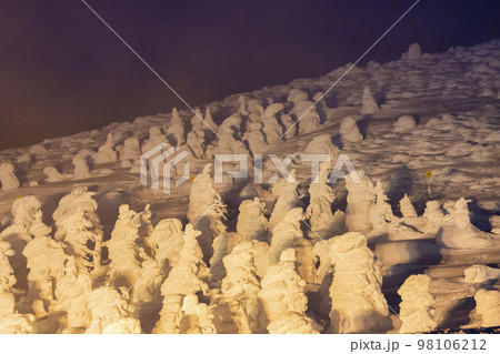 ライトアップされた山形蔵王の樹氷　山形県山形市 98106212