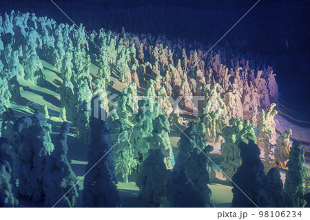 ライトアップされた山形蔵王の樹氷　山形県山形市 98106234