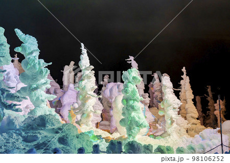 ライトアップされた山形蔵王の樹氷　山形県山形市 98106252