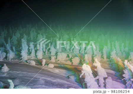 ライトアップされた山形蔵王の樹氷　山形県山形市 98106254