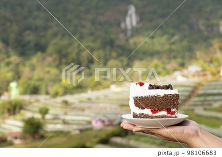 cake on a white plate on hand 98106683