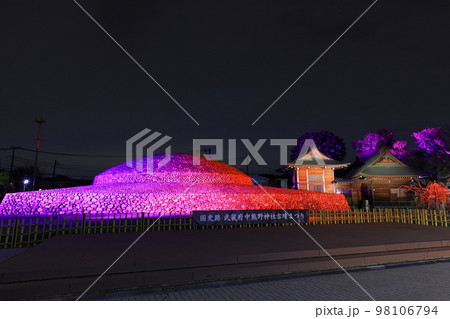 国史跡武蔵府中熊野神社古墳まつり～古墳ライトアップ『古代光景』 98106794