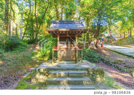 秋の日吉大社　氏神神社（滋賀県大津市坂本） 98106836