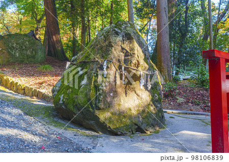 秋の日吉大社　猿岩（滋賀県大津市坂本） 98106839