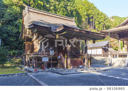 秋の日吉大社　東本宮　樹下宮本殿（滋賀県大津市坂本） 98106860