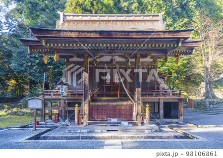 秋の日吉大社　東本宮　樹下宮本殿（滋賀県大津市坂本） 98106861