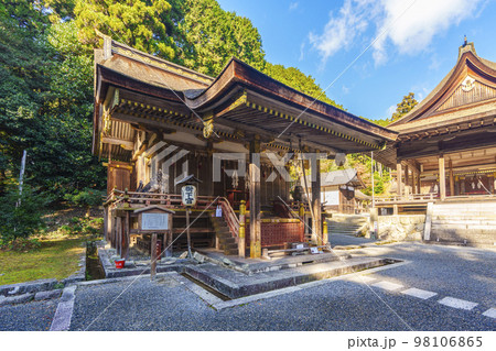 秋の日吉大社 東本宮 樹下宮本殿(滋賀県大津市坂本) 秋の日吉大社 東本宮 樹下宮本殿(滋賀県大津市坂本) 98106865