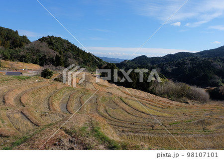 千葉県鴨川市冬の大山千枚田 98107101