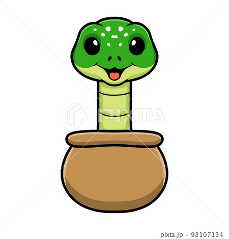 Cute green tree python cartoon out from pot 98107134