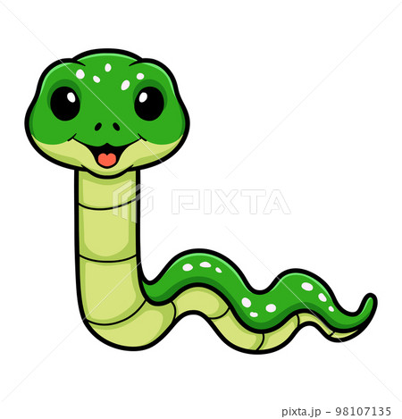 Cute green tree python cartoon 98107135