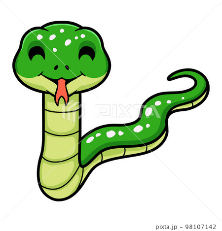 Cute green tree python cartoon 98107142