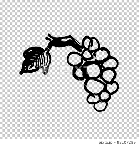 Line drawing illustration of wild grapes Line drawing illustration of wild grapes 98107289