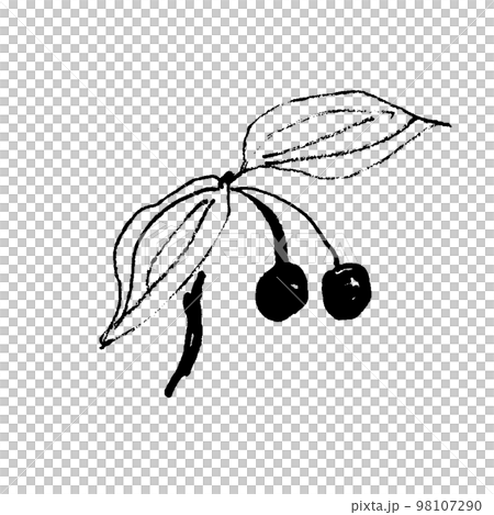 Hotaku 草果實的線描插圖 98107290