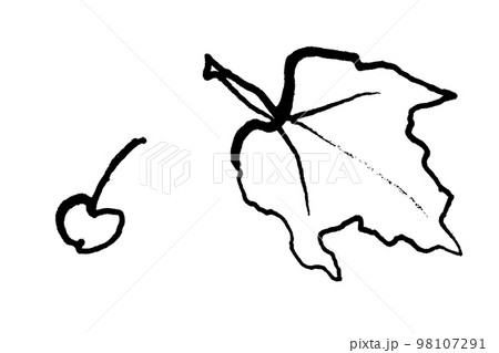 落ち葉と実の線画イラストのイラスト素材