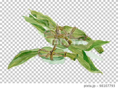 竹 dango 水彩插圖 竹 dango 水彩插圖 98107793