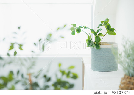 リビング 98107875