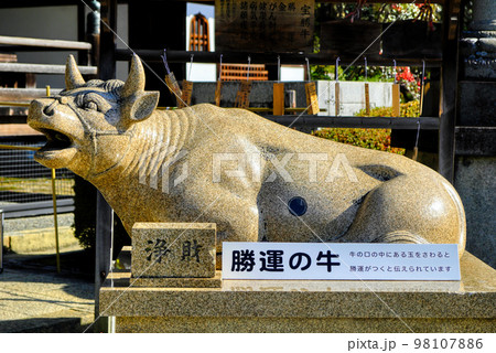 京都、三室戸寺の狛牛 京都、三室戸寺の狛牛 98107886