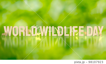 The animal and text for world wildlife day concept 3d rendering The animal and text for world wildlife day concept 3d rendering 98107923