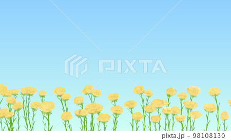 黄色い花がたくさん咲いているイラスト素材　青空　群生　春　16：9 98108130