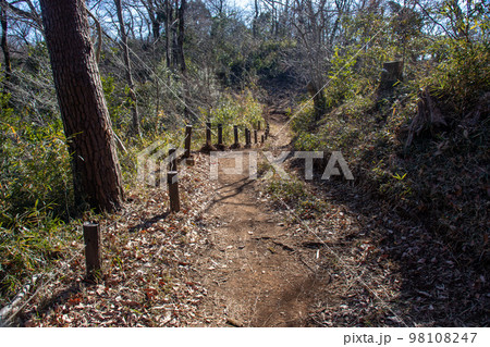 整備された森の遊歩道の下り坂部分 整備された森の遊歩道の下り坂部分 98108247