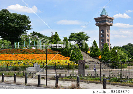 神奈川県　相模原麻溝公園のグリーンタワーと花いっぱいの大花壇 98108376