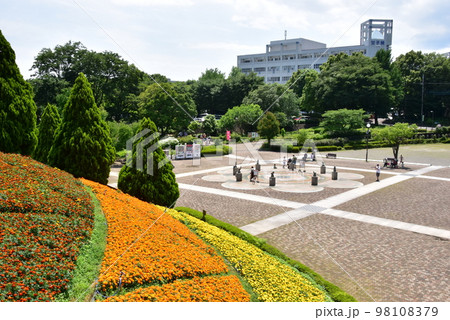 相模原麻溝公園の大花壇と水の広場 98108379