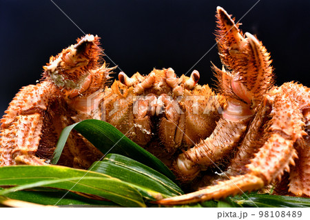 笹の乗った笊に盛り付けられた毛蟹 98108489