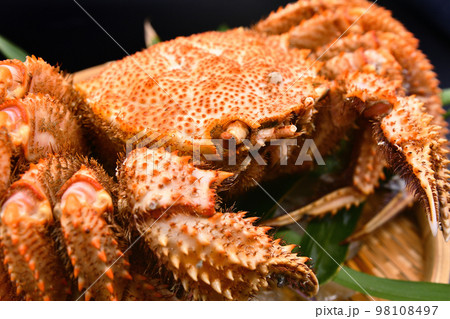 笹の乗った笊に盛り付けられた毛蟹 笹の乗った笊に盛り付けられた毛蟹 98108497