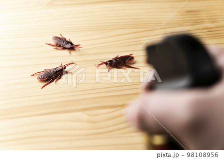 害虫を殺虫剤で退治する偽物のゴキブリの害虫イメージ 98108956