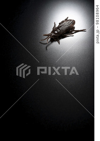 黒背景に偽物のゴキブリの害虫イメージ 黒背景に偽物のゴキブリの害虫イメージ 98108964
