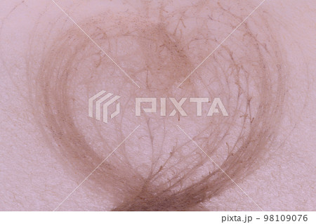 和紙とススキ（薄）の背景素材 98109076