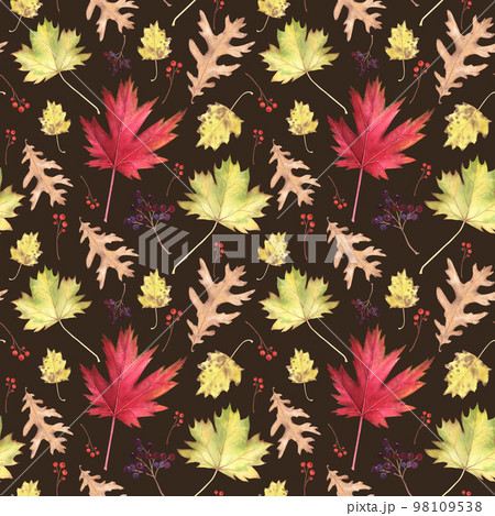 Autumn leaf maple, oak, poplar seamless pattern isolated on white. Watercolor hand drawn illustration. Art for design Autumn leaf maple, oak, poplar seamless pattern isolated on white. Watercolor hand drawn illustration. Art for design 98109538