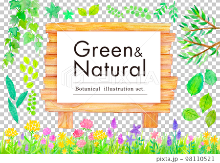 Green natural watercolor illustration 98110521